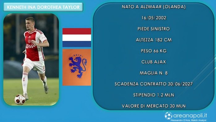 grafica 1 Taylore